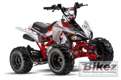 Access MiniSport 110 2021